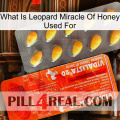 What Is Leopard Miracle Of Honey Used For new01